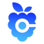 BERRY